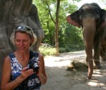 gazell 2 yarn spinner, fiber artist, ewe and company